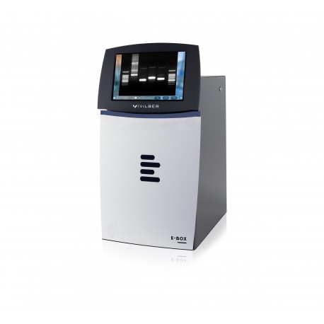 Gel documentation (VILBER)