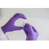 RNAi – esiRNAs (EUPHERIA BIOTECH)