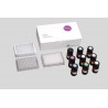 Proteomics - Sample Preparation (PREOMICS)