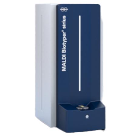 Identification: Maldi Biotyper