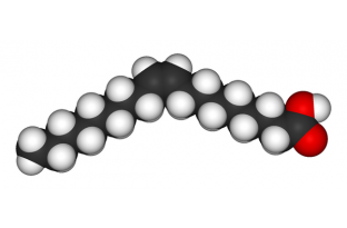 FAME Sample automation